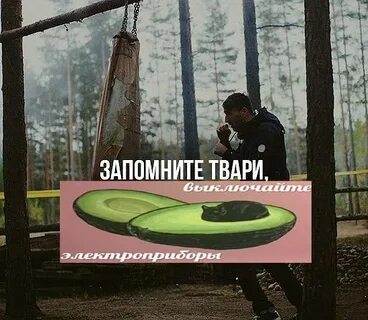 Запомните твари