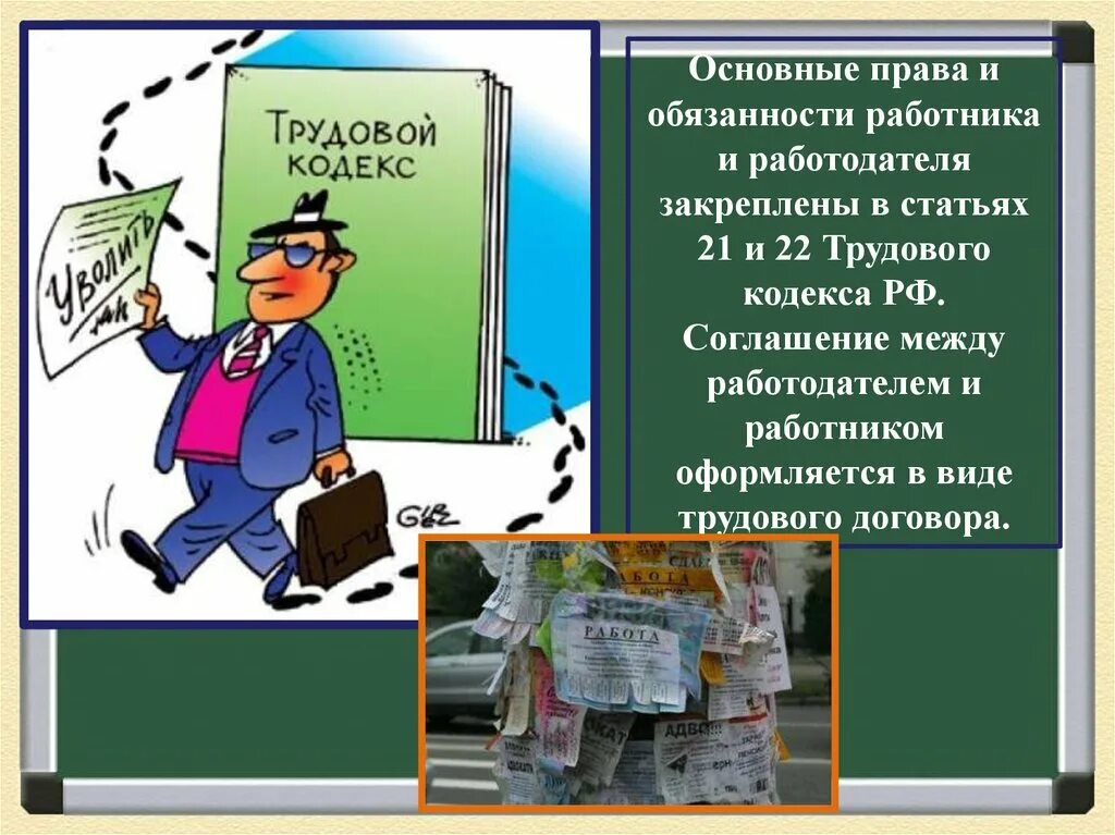 Трудовое законодательство.