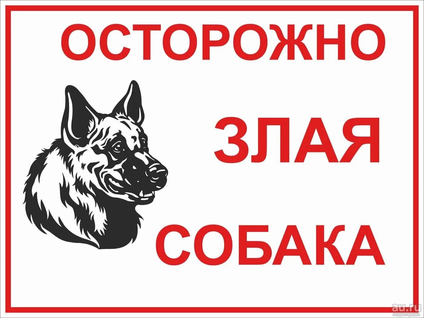 Осторожно, злая собака!. Табличка осторожно злая собака. Остороэнотзлач собака. Во дворе злая собака.