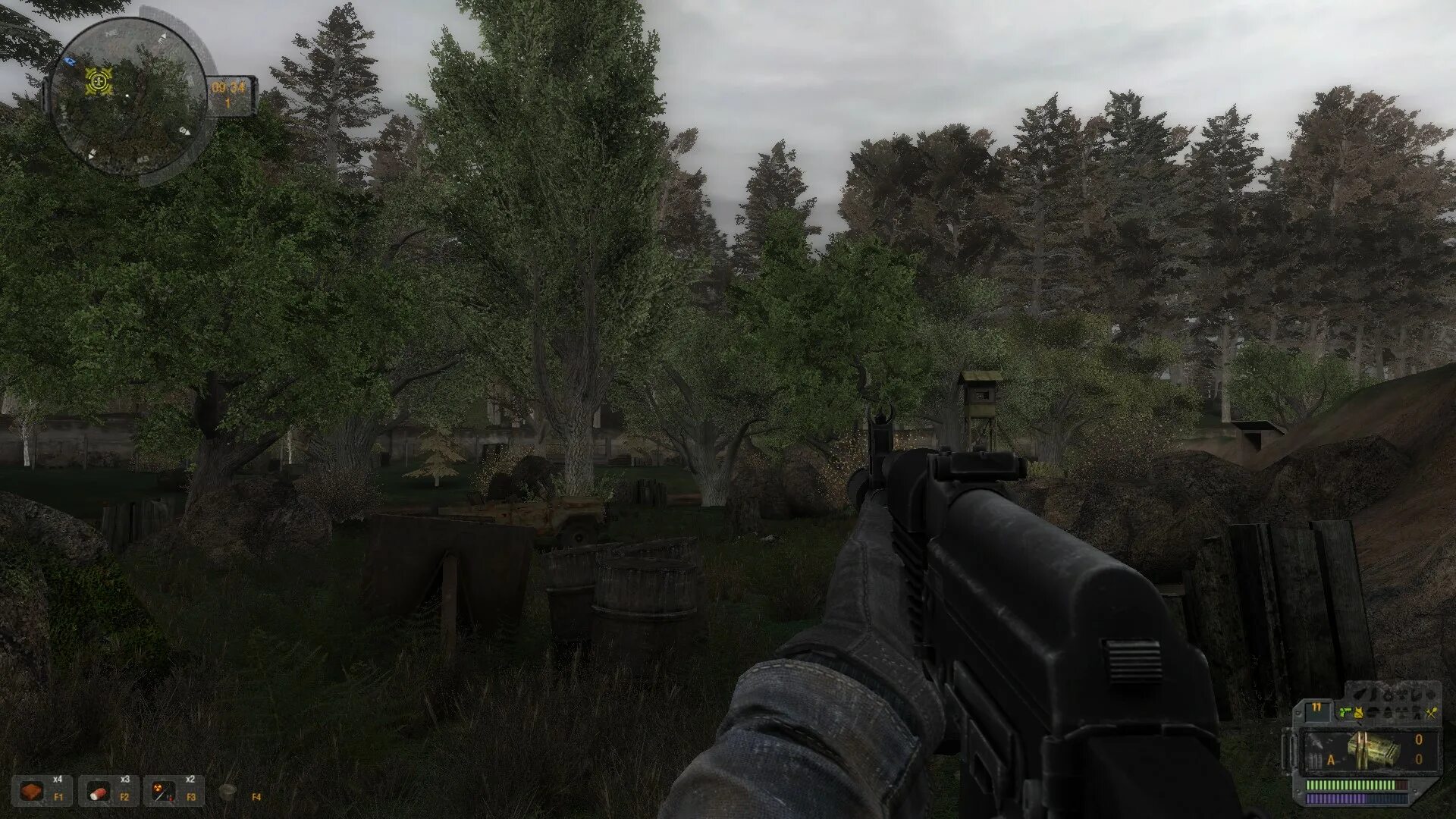Stalker anomaly обзор