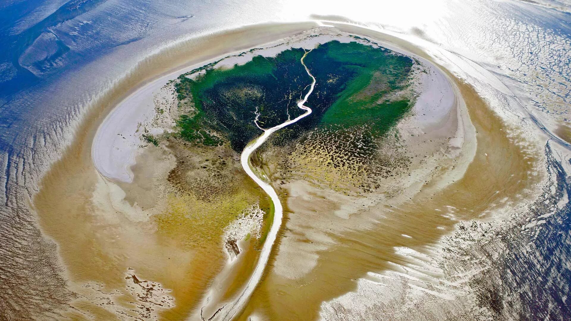 Красивые просторы природы. Снимки из космоса. Красота земли. Эстуарий реки амазонка. Водохранилище пауэлл.