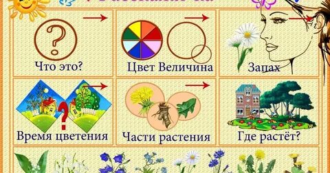 Расскажи тоне