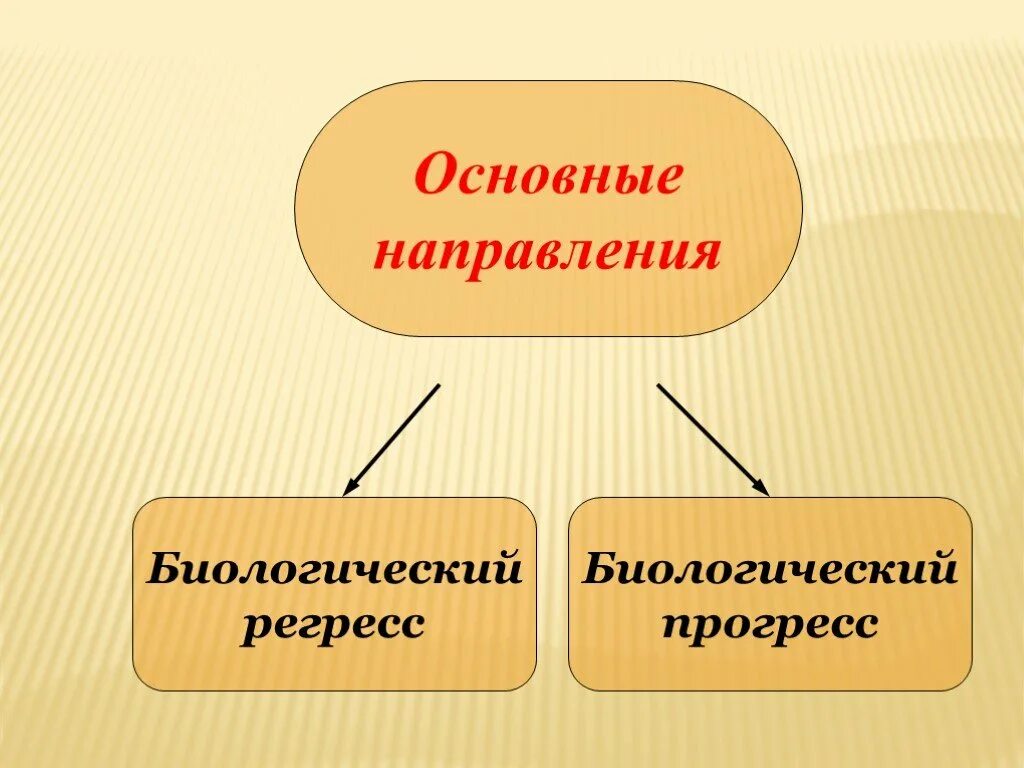 Направление развития 9. Главные направления эволюции биологический Прогресс. Биологический регресс. Основные направления эволюции биологический регресс. Направления эволюции биология 9 класс.