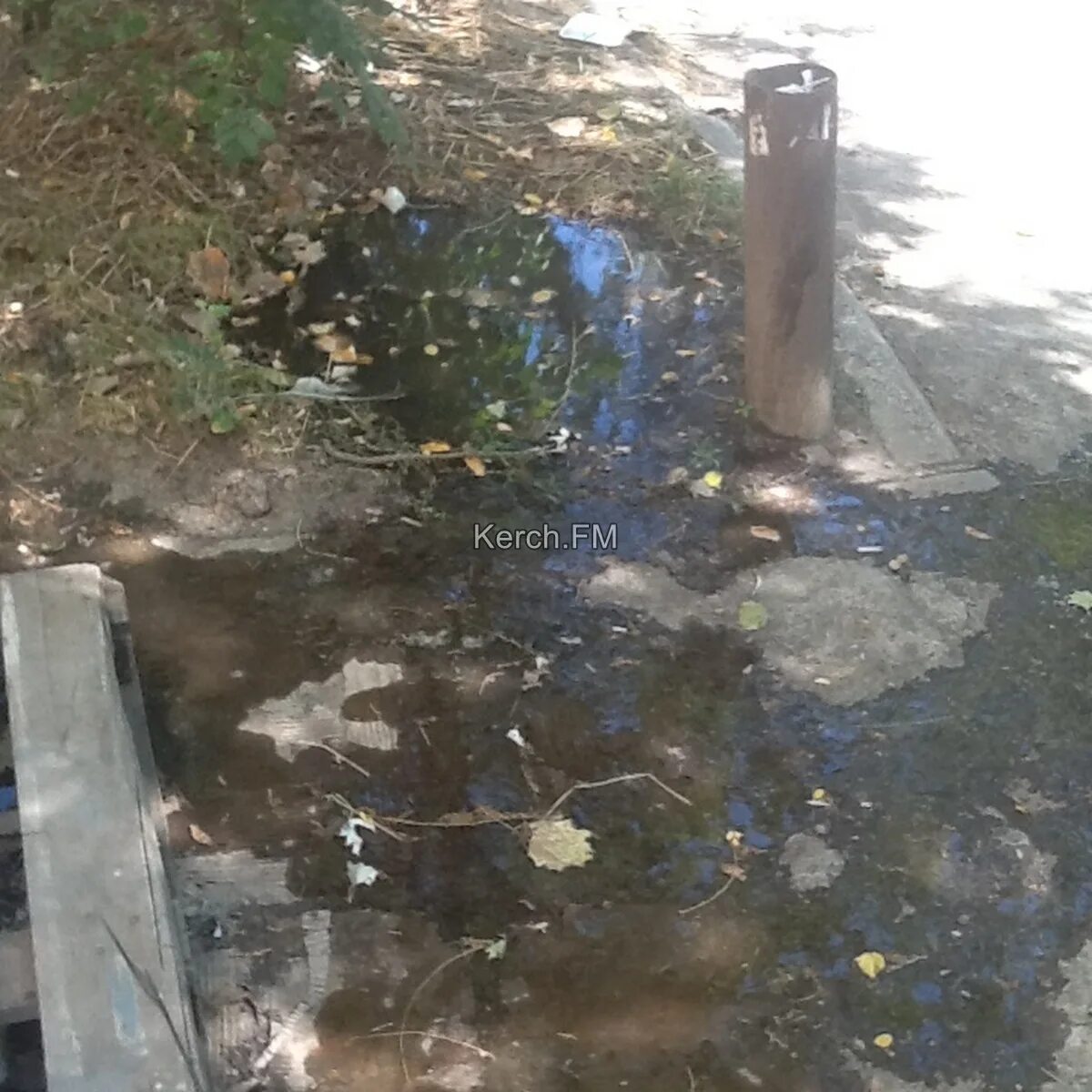 Подвал канализация. Топит канализация. Подвал с трубами. Топит канализация. Топит канализация.