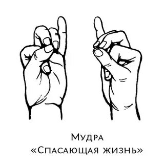 Мудра голова