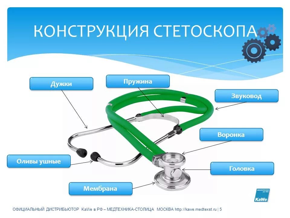 Стетоскоп и фонендоскоп разница. Строение фонендоскопа мембрана. составные части стетоскопа. стетофонендоскоп из чего состоит. раструб фонендоскопа строение.