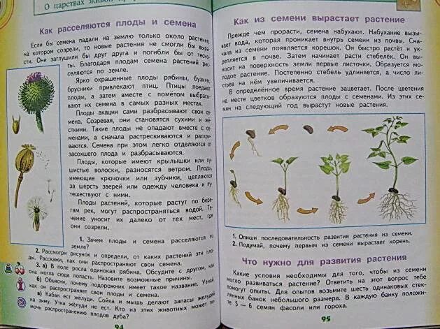 Окружающий мир второй класс страница 111. Учебники по окружающему миру начальная школа. Книги по окружающему миру для начальной школы.