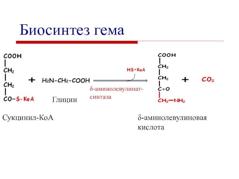 Биосинтез пао. Аминолевулиновая кислота Синтез гема. 5-Аминолевулиновая кислота Синтез гема. Образование аминолевулиновой кислоты из сукцинил КОА И глицина. Образование 5-аминолевулиновой кислоты из глицина и сукцинил-КОА.