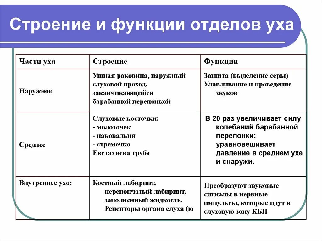 Наружное ухо отдел строение функции. Таблица по биологии отдел уха строение функции. Строение наружного среднего внутреннего уха их функции. Строение и функции наружного уха и среднего уха таблица. Какое значение органа слуха