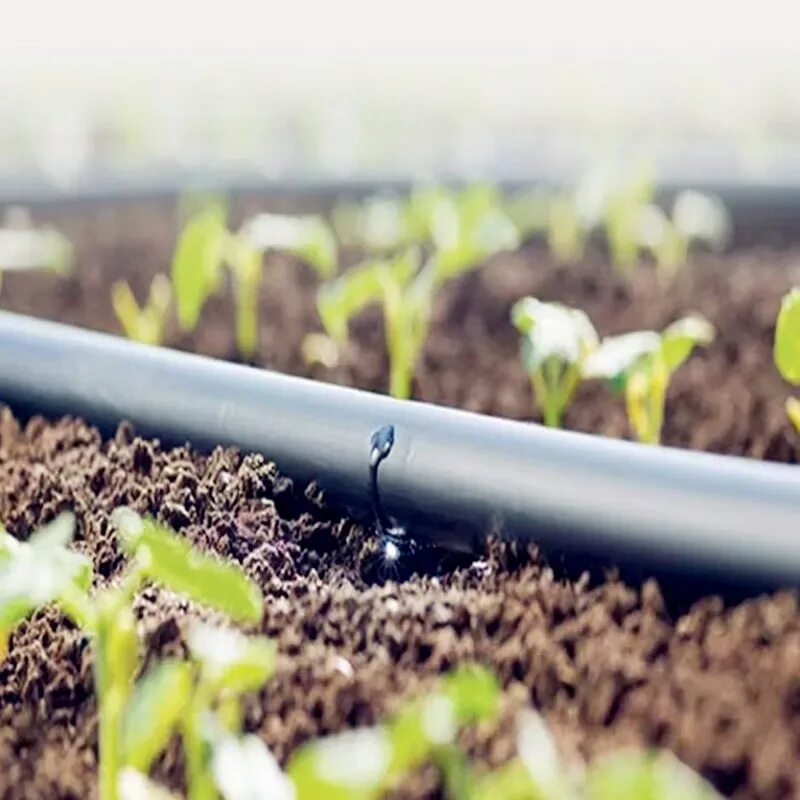 Капельное орошение полей. Система капельного полива. Drip irrigation. Ирримейк irrigation. Капельное орошение drip irrigation fertigation.
