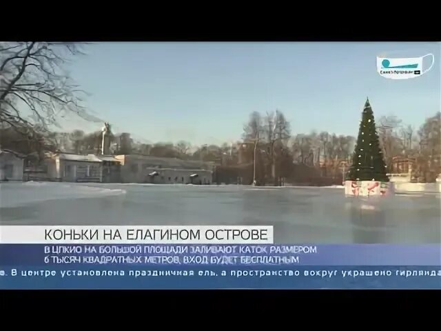 Каток цпкио расписание