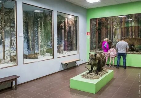 По словам вани в краеведческом музее проходит