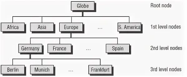Node root