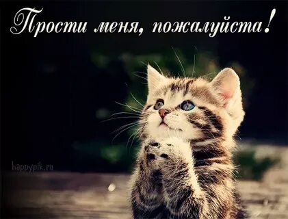 Прости просто так вышло