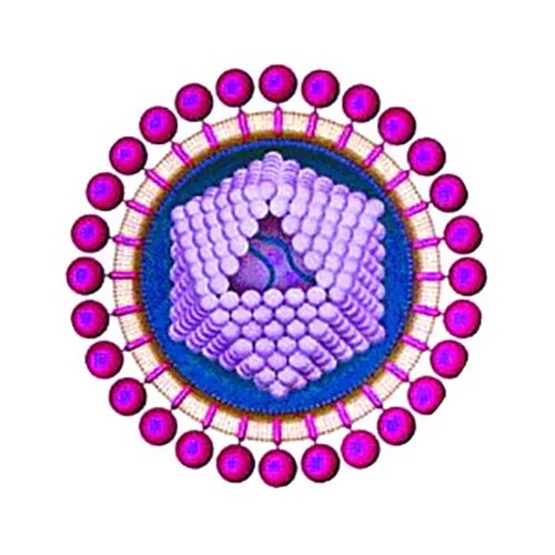 Cell virus. HTLV вирус. HTLV-1. Лимфотропный вирус. HTLV-2 virus.