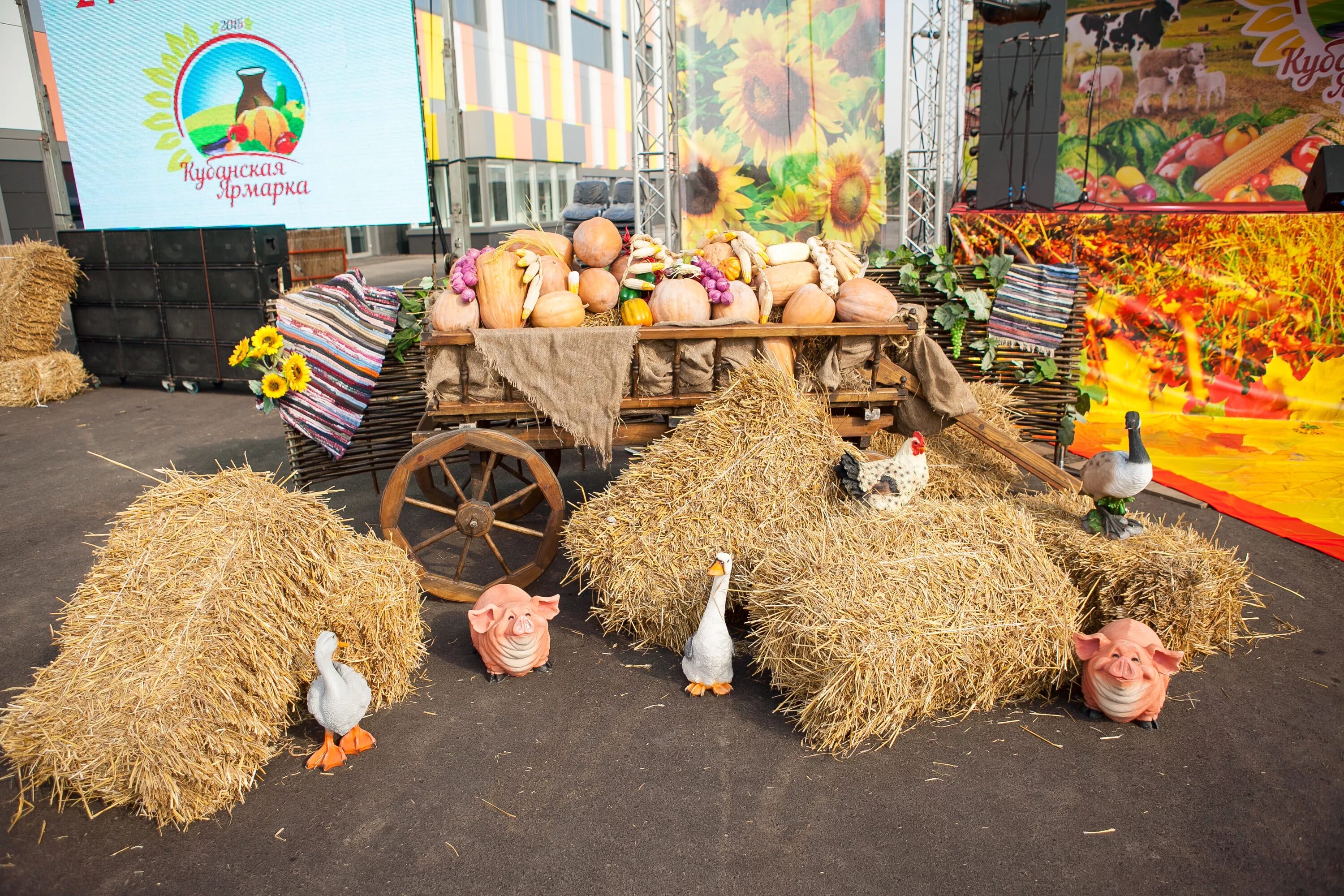 Подворье растения. Ярмарка сельскохозяйственной продукции Кубань 2020. Выставка сельского хозяйства. Сельскохозяйственная выставка. Украшение сельскохозяйственной выставки.