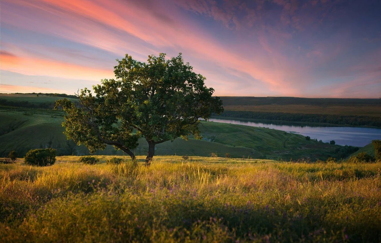 Русские на природе часть. Природа Волгоград степи. Калач на Дону пейзажи степи. Река Дон,степи Донские. Поля Волгоградской области.