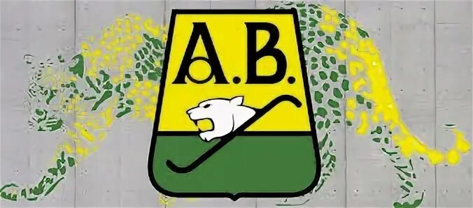 Атлетико букараманга