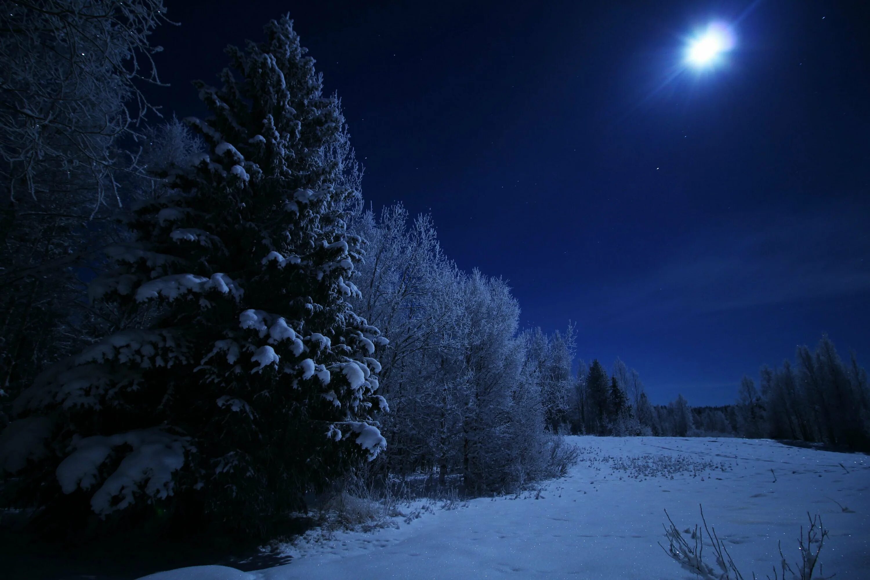 Ночью в лесу 3 класс. Зима ночь. Ночной зимний лес. Ночь зимой. Зимний лес ночью.
