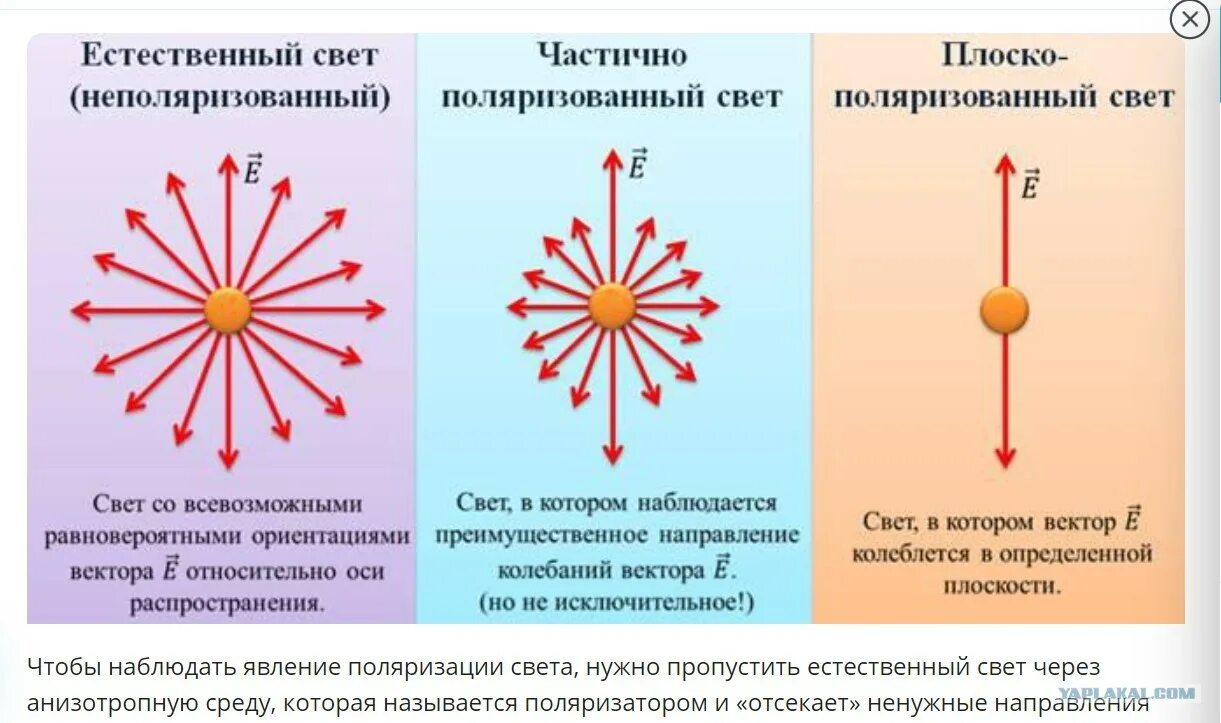 1 что называют светом. Поляризованный, частично поляризованный и неполяризованный свет.. Поляризованный и неполяризованный свет различия. Поляризированный свет. Естественный свет.