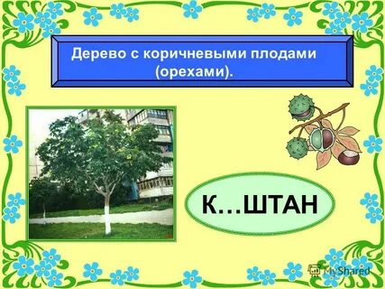 Пр рода
