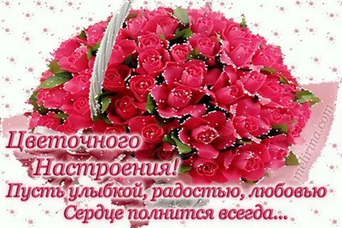 Пусть улыбкою доброю нежною