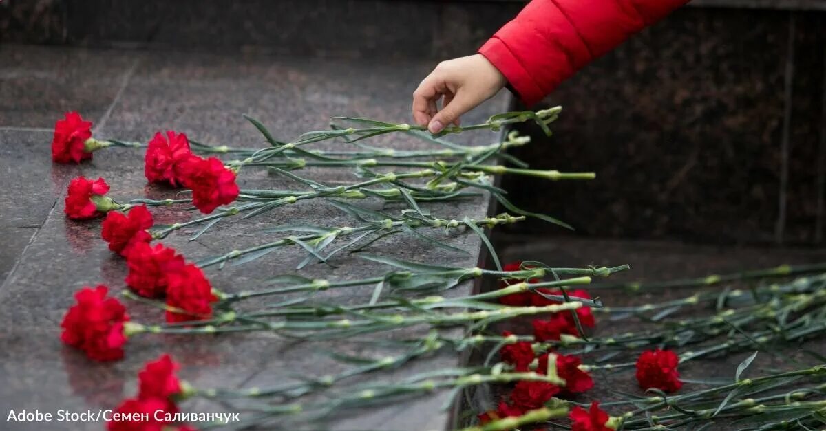 Цветы которые в Японии символизирует траур. Фото день траура 23 февраля. Carnations Mourning. День траура после крокуса