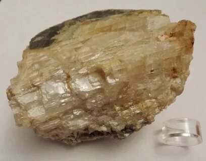 Сама копи
