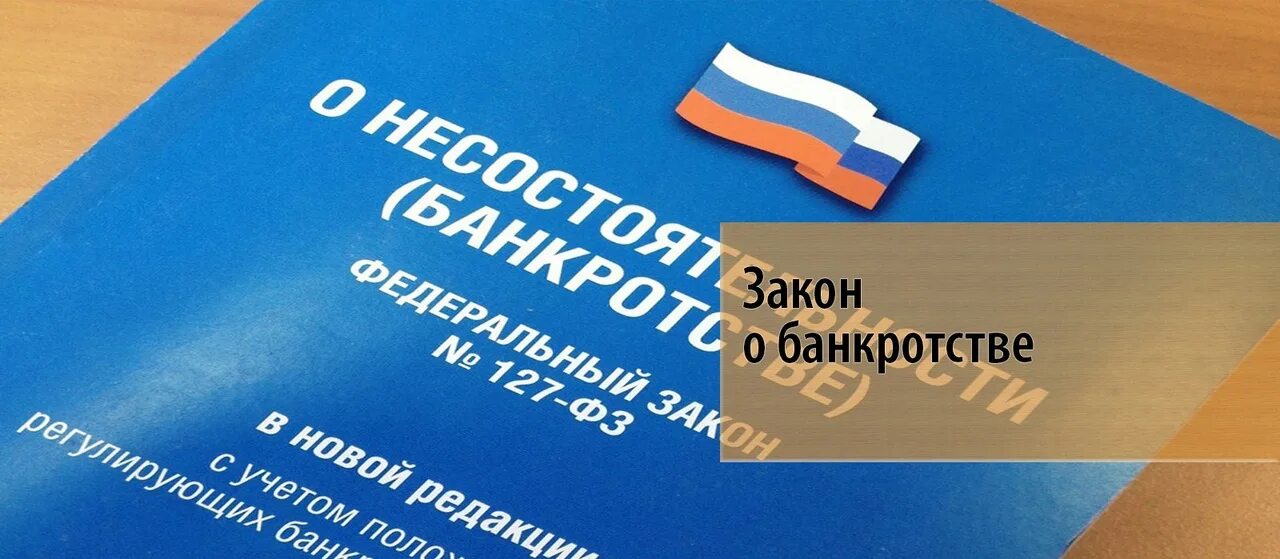 Закон о банкротстве. ФЗ-127 О несостоятельности. Федеральный закон «о несостоятельности (банкротстве)». ФЗ О банкротстве.