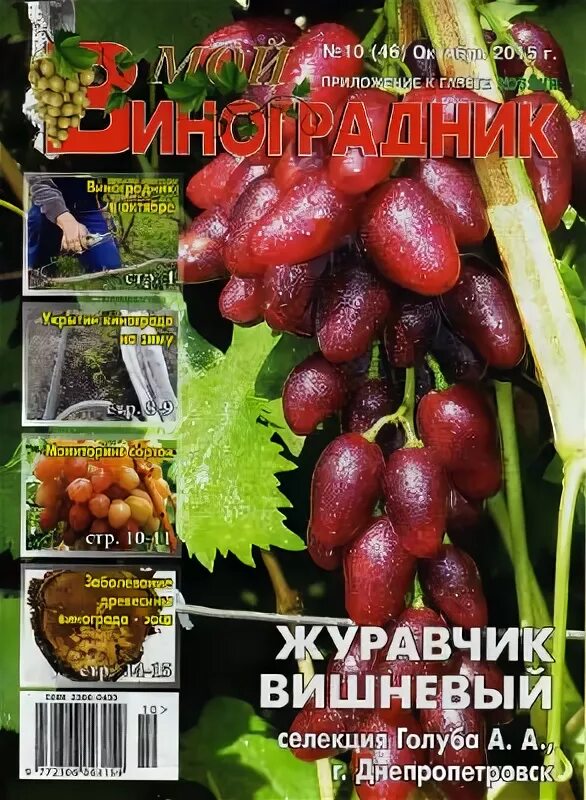 Виноград журавчик вишневый описание сорта фото отзывы Журавчик Вишневый, Голуб А.А.