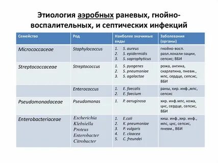 Гнойные возбудители