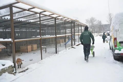 Центр велес