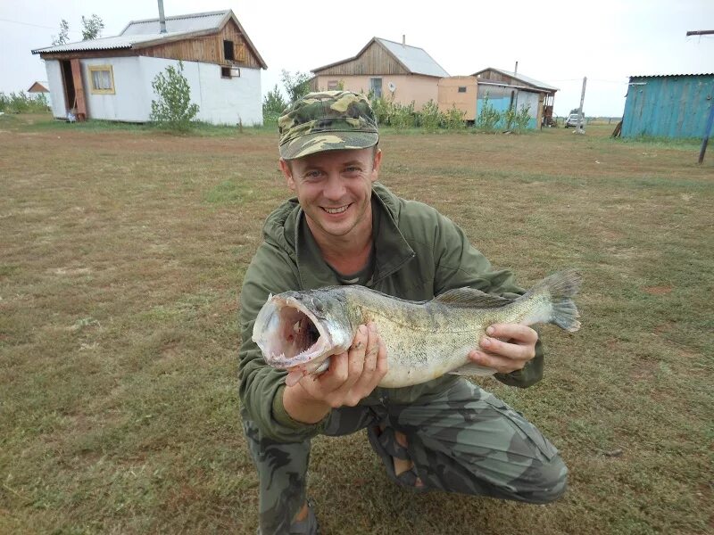 Астраханский база рыболовный сайт. Рыболовная база в Астрахани. Рыболовные базы в Астрахани. База для рыбалки Харабали. Харабали Астраханская область рыбалка.