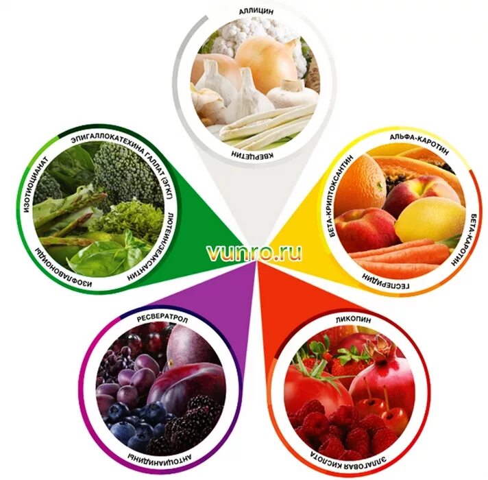 влияние цвета на аппетит. разные фрукты и овощи. фрукты и овощи полезны для здоровья. цвет пищевых продуктов. продукты влияющие на цвет.