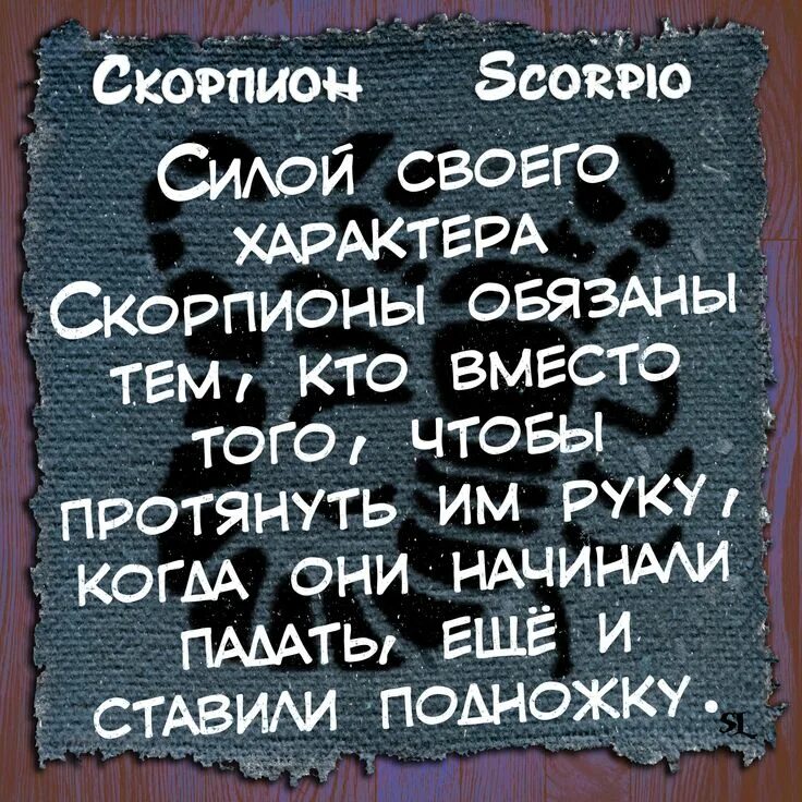 Девушка скорпион. Статусы про скорпионов женщин. Ребенок скорпион. Дева женщина характеристика. Скорпион характеристика.