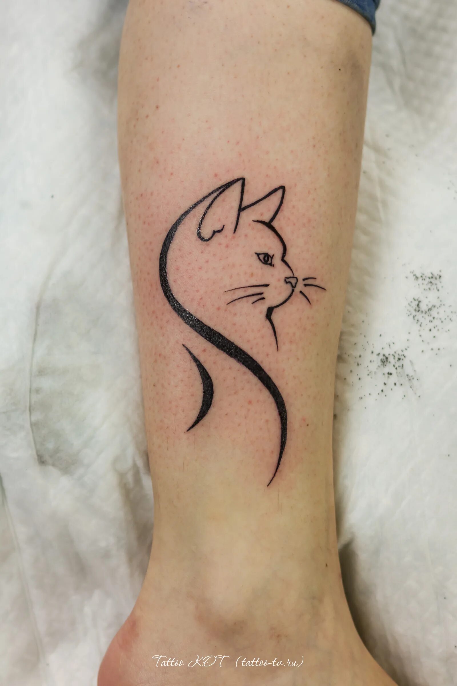 Тату на руку девушке кошка. Тату кошка. тату кошка на руке. тату кошка на запястье. тату кошка на руке для девушек.