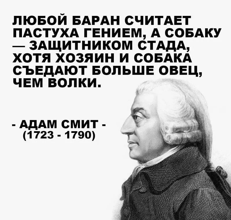 Всю жизнь овца волков