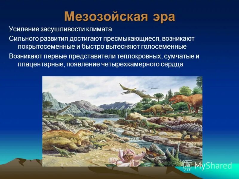 Геологическая эра палеозойская. Эпоха складчатости протерозойской эры. Архейская Эра Палеозойская. Мезозойская и Кайнозойская эры. Палеозойская Эра и Мезозойская Эра.