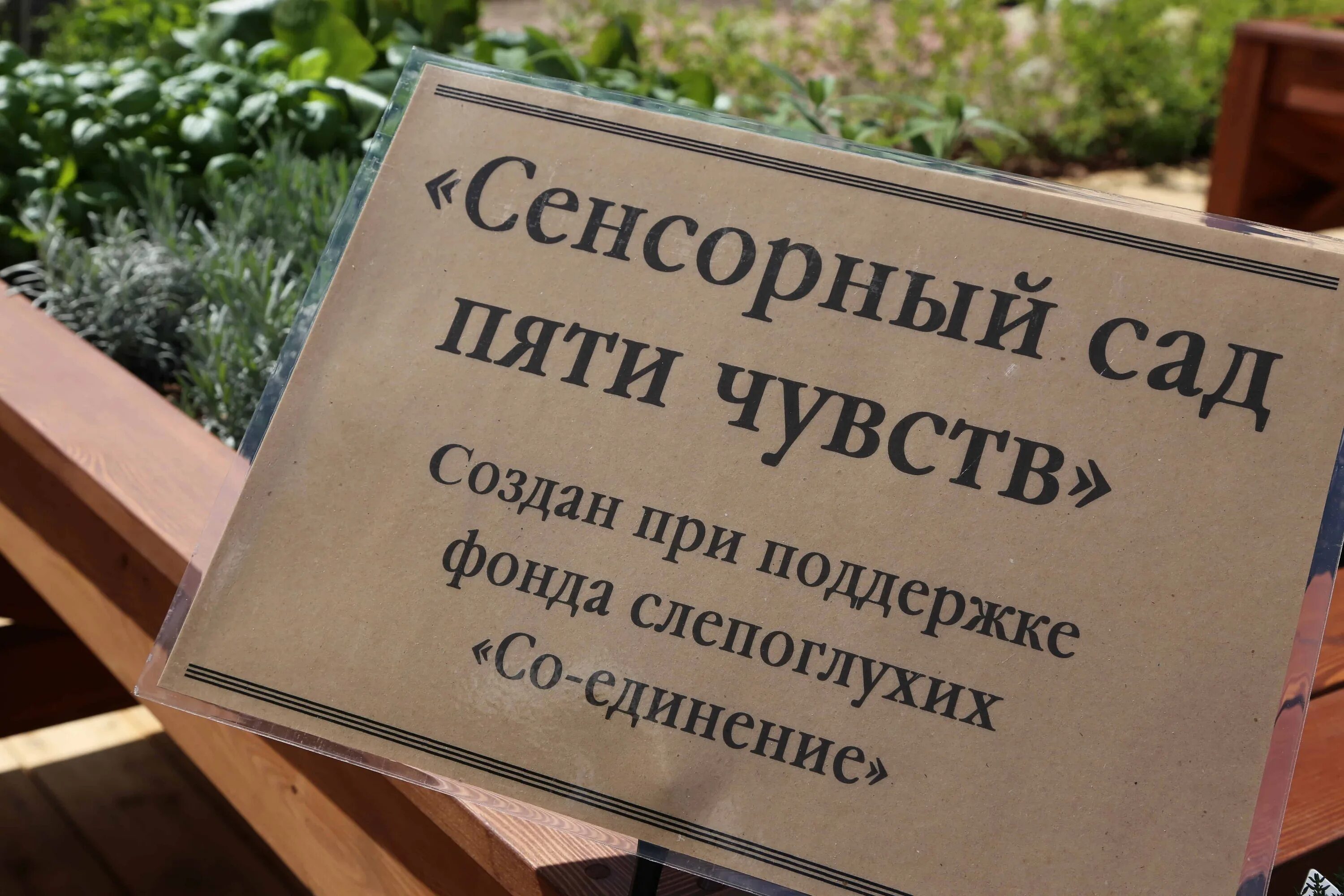 Сад пяти чувств. Сенсорный сад проект. сенсорный сад пяти чувств. тактильный сад. сенсорный сад в москве.