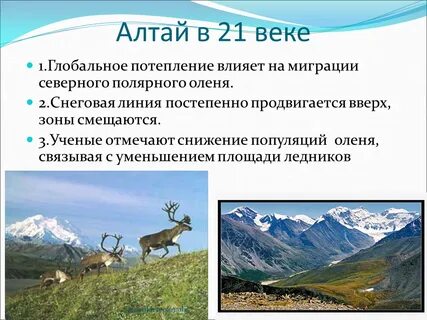 Линия алтай