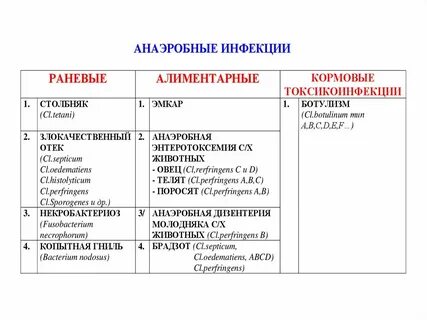 Анаэробы что это