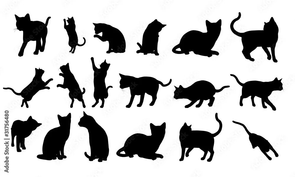 Силуэт кошки картинки. Силуэт кошки. силуэт сидящей кошки. силуэты кошек на стену. силуэтные рисунки кошек.