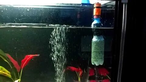Можно ли в аквариум заливать бутилированную воду