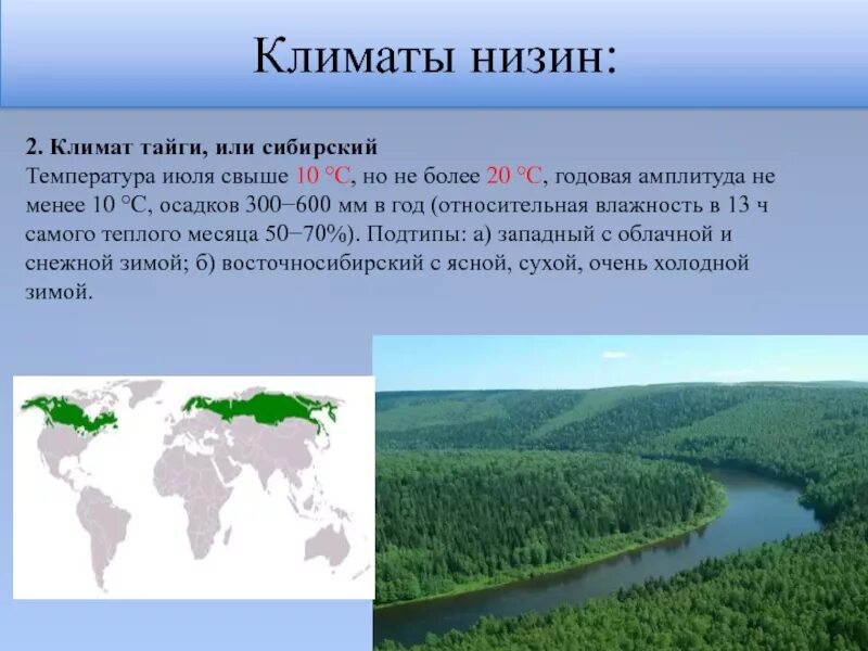 Природные условия тайги 5 класс. Климат тайги. Особенности климата тайги. Климат тайги в России. Климатические условия тайги.