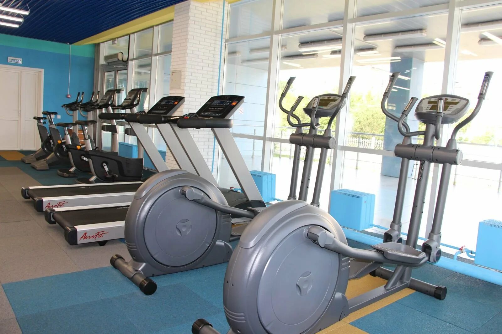 Тренажерный зал дельфин пенза. Дельфин тренажерный зал. Фок дельфин тренажерный зал. Дельфин балаково спортзал. Тренажерный зал дельфин развилка.