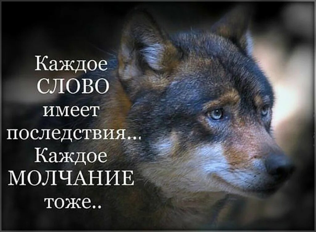 Значит будем напоминать