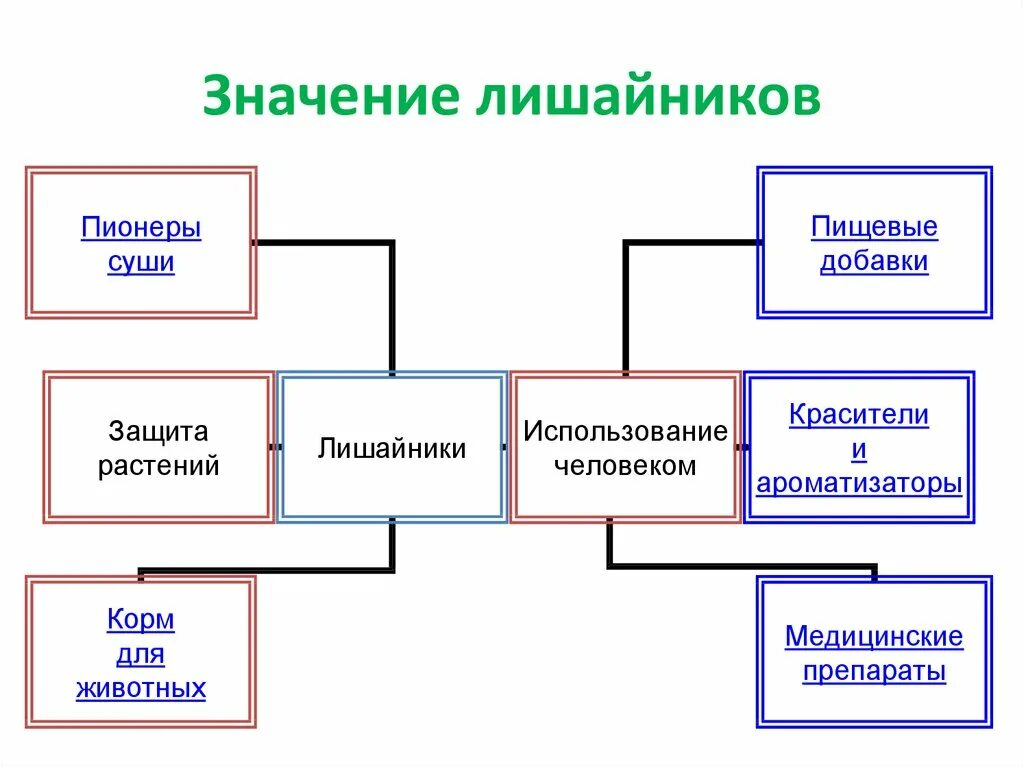 Значение лишайников. Значение лишайшайникрв. Схема значение лишайников. Кластер значение лишайников.