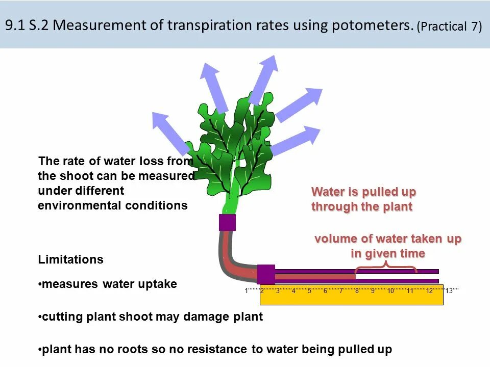I feed перевод. Transpiration rate. Water uptake in Plants. Plant Introduction. Transpiration in Plants.