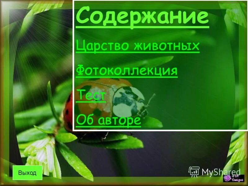 Доклад про зоологию. Биология 5 класс учебник содержание. Системы органов насекомых таблица. Учебник по биологии 7 класс содержание. Содержание царства.