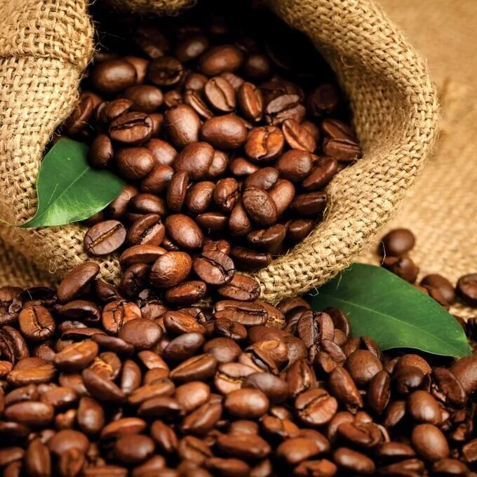 Лучшие зерна арабики. Кофе зерновой Арабика и Робуста. Кофе в зернах Arabica. Кофе «зерновой». Рассыпанные зерна кофе.